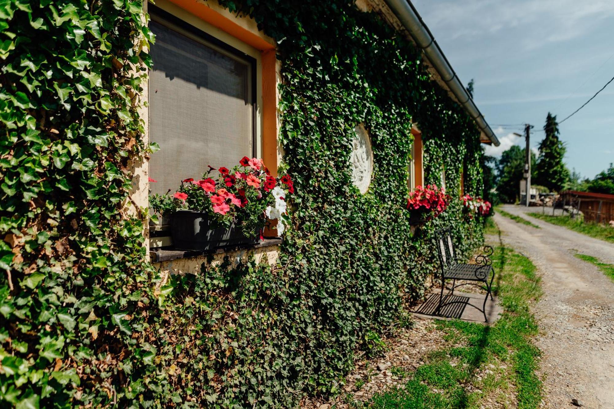 Domcek Na Staromestskej. Villa Banska Stiavnica Exterior photo