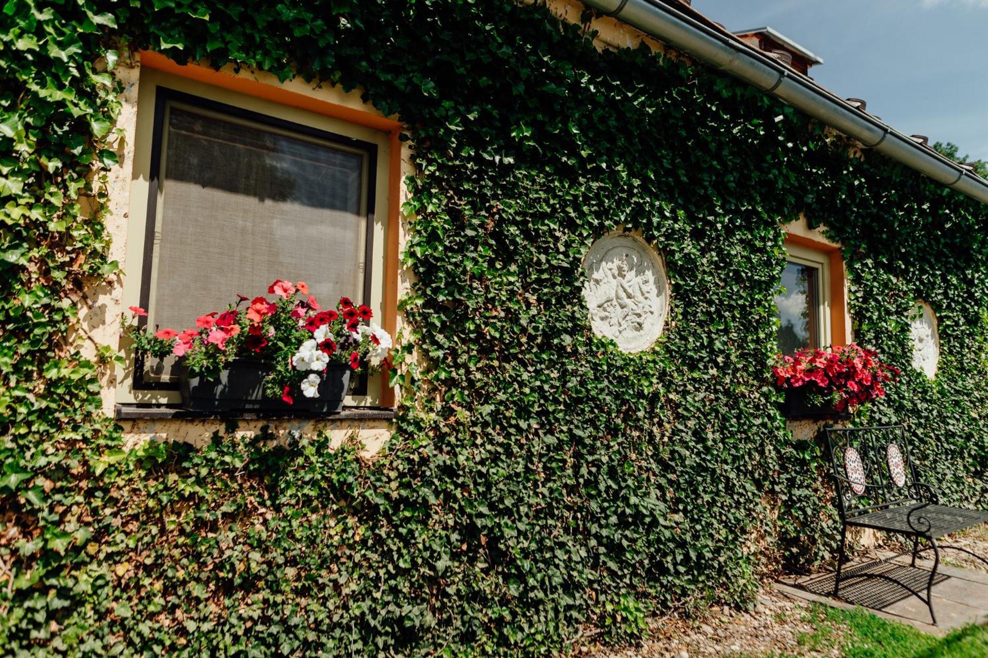 Domcek Na Staromestskej. Villa Banska Stiavnica Exterior photo